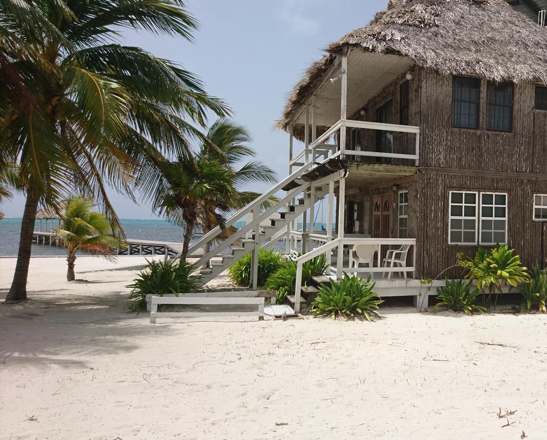 Exotic Caye Beach Resort San Pedro  Exterior photo